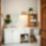 Efficient Organization Under the Bathroom Vanity Introduction