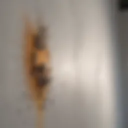 Mold growth on bathroom drywall