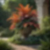 Artful arrangement of plants showcasing landscape design