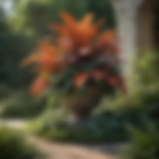 Artful arrangement of plants showcasing landscape design