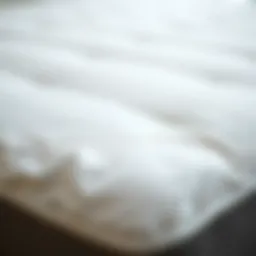 Close-up of a pristine mattress protector showcasing its texture