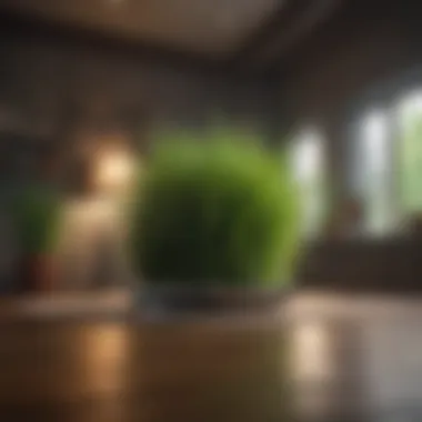 Modern Elegance: Grass Imagery in Interior Spaces Grass stock photo enhancing a modern interior design