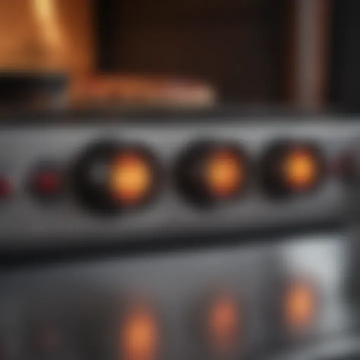 Close-up of a gas pizza oven's control panel