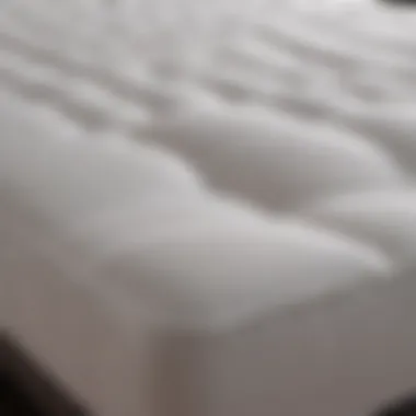 Different types of mattress pad covers laid out for comparison