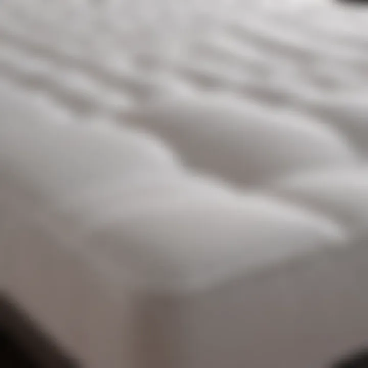 Different types of mattress pad covers laid out for comparison