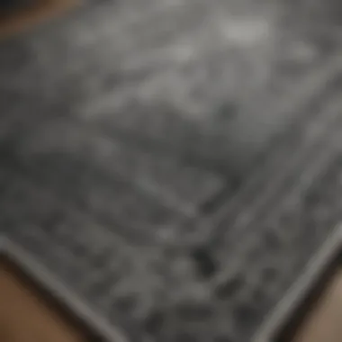 Close-up view of intricate patterns in a black and white rug set