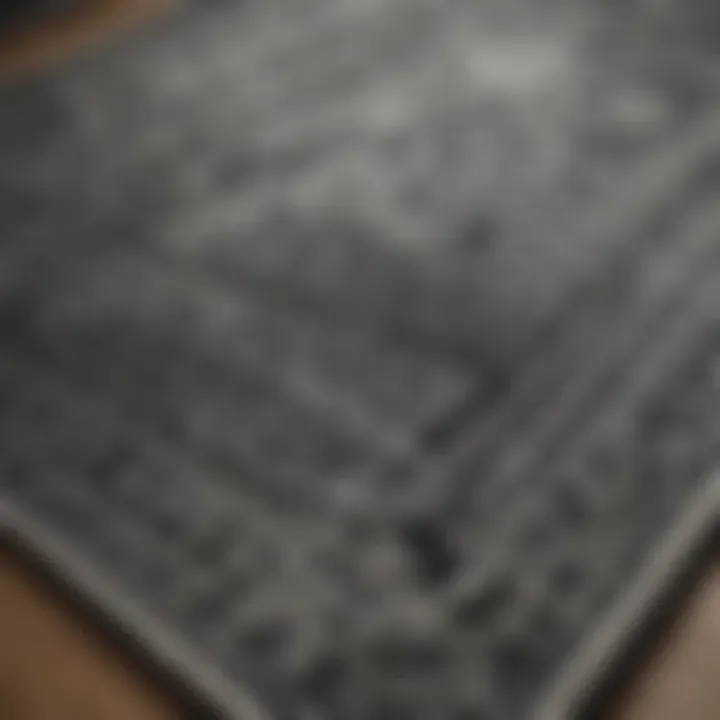 Close-up view of intricate patterns in a black and white rug set