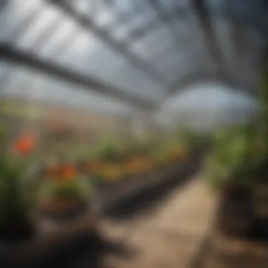 An array of different types of heaters suitable for greenhouse environments, emphasizing variety and efficiency.