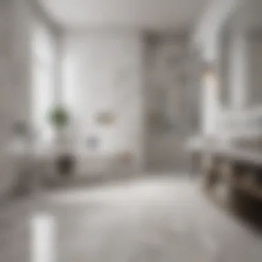 Sleek Modern Bathroom with Marble Flooring Sleek modern bathroom showcasing white marble flooring