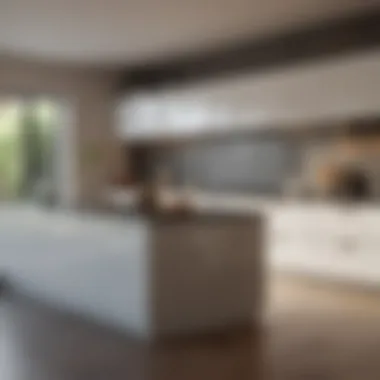 Contemporary Kitchen Aesthetics Aesthetic appeal of cabinets in a contemporary kitchen setting
