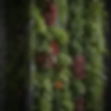 A close-up view of a vertical garden with various herbs and plants.