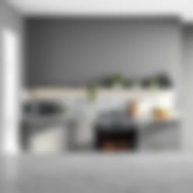 Neutral gray kitchen walls paired with modern fixtures