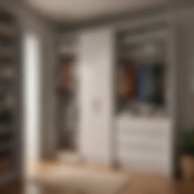 Design Considerations for Entry Closets An infographic displaying design considerations for entry closets.