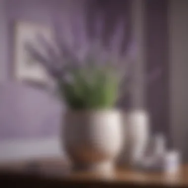 Serene Lavender Shades for Relaxation Serene lavender shades for tranquil spaces