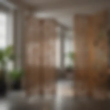 Decorative Room Dividers in Commercial Space Aesthetic appeal of decorative room dividers in a commercial space