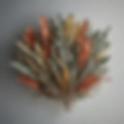 Dried sage leaves displayed in a vibrant arrangement