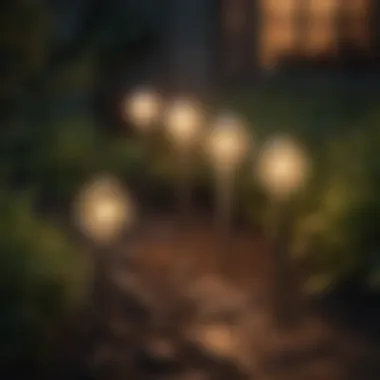 Variety of Solar Garden Stake Lights Variety of solar garden stake lights showcasing innovative designs