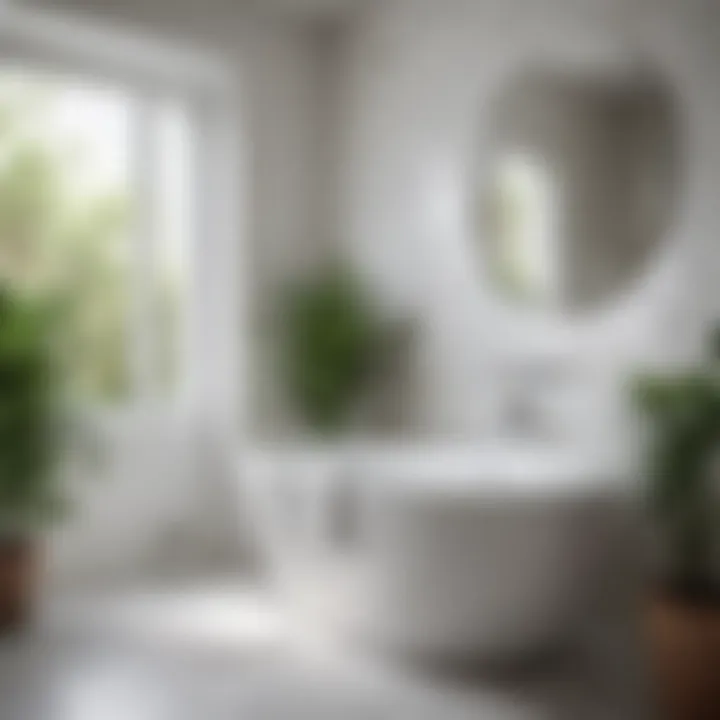 Serene white bathroom with natural light and plants