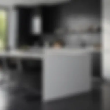 Contemporary Black and White Kitchen Elegance Contemporary black and white kitchen with sleek appliances and finishes