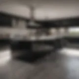 Elegant black and white kitchen design showcasing modern cabinetry
