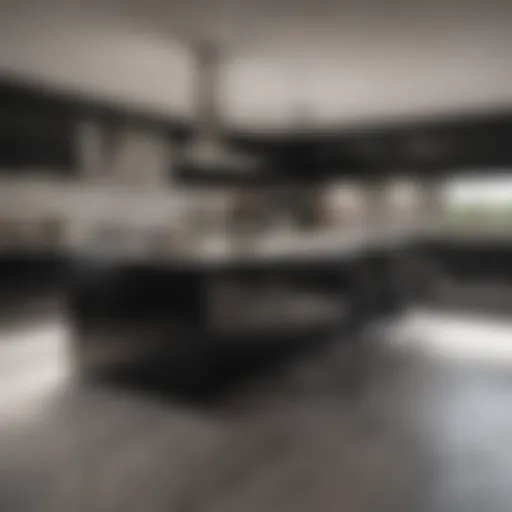 Elegant black and white kitchen design showcasing modern cabinetry