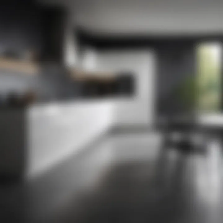 Minimalist black and white kitchen emphasizing open space and functionality