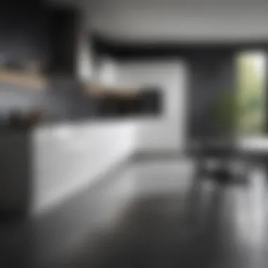Minimalist Black and White Kitchen Design Minimalist black and white kitchen emphasizing open space and functionality