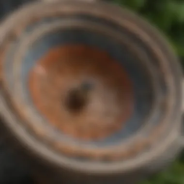 Close-up of a 12-inch bird bath bowl showcasing intricate design details