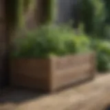 Elegant wooden above ground garden box filled with fresh herbs
