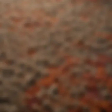 A close-up view of speckled berber carpet showcasing its unique texture