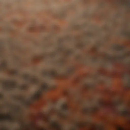 A close-up view of speckled berber carpet showcasing its unique texture