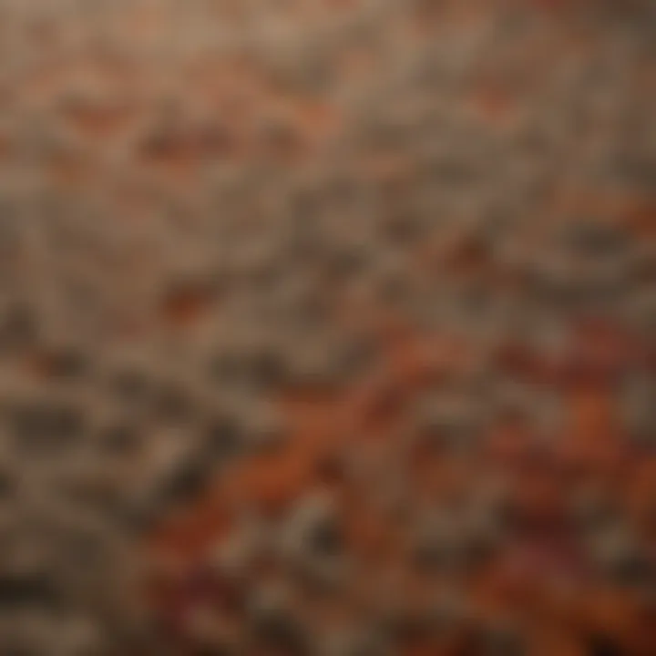 A close-up view of speckled berber carpet showcasing its unique texture