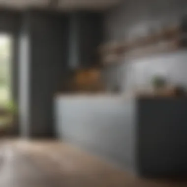 Modern kitchen featuring gray cabinets and contrasting bold wall color
