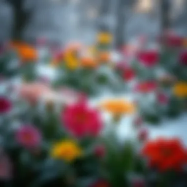 Vibrant winter flowers adding color to a snowy landscape