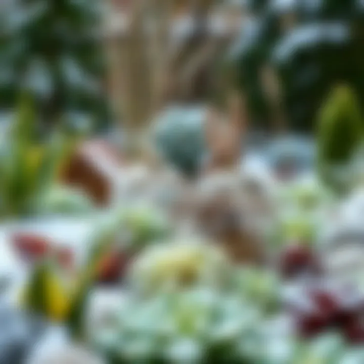 A well-designed winter garden layout with various plants