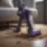 Dyson Animal Vacuum showcasing design and features