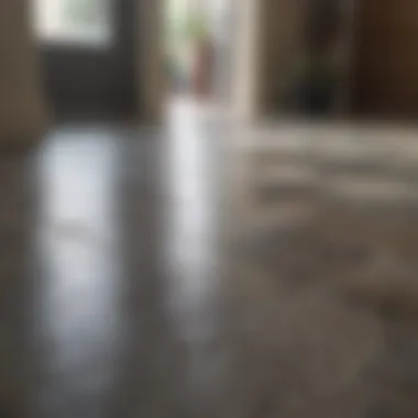 Durable Stone Flooring for Lasting Impression Durable stone flooring near the front entrance