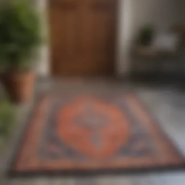 Vibrant Outdoor Rug Adding Character to the Entrance Vibrant outdoor rug adding color to the entryway