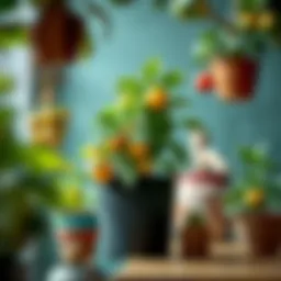 Fruit Plants That Thrive in Pots Introduction