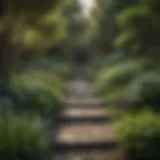 A serene garden layout showcasing diverse plant selections and pathways.