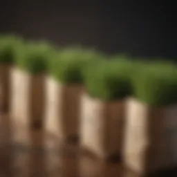 Variety of grass seeds displayed in packages