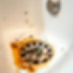 A close-up view of a bathtub drain showing debris and clogs