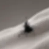 Ink stain on fabric
