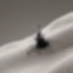 Ink stain on fabric