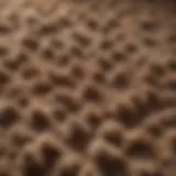 Close-up of thick pile carpet fibers