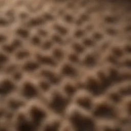 Close-up of thick pile carpet fibers