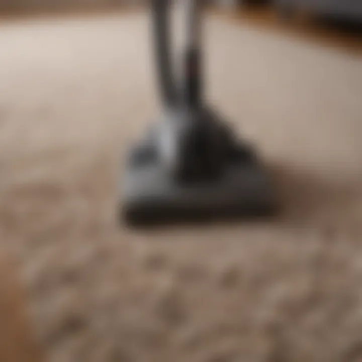 Comparison of different vacuum types on thick carpet