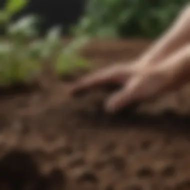 Choosing the Right Soil for Container Gardening Close-up of a hand selecting soil for container planting