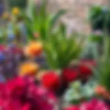 A vibrant garden showcasing diverse plant species arranged for aesthetic appeal.