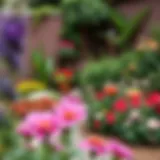 A beautifully landscaped corner garden filled with vibrant flowers and greenery